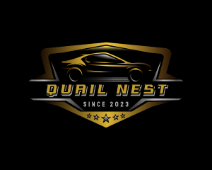 Automotive Car Detailing logo design