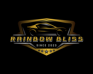 Automotive Car Detailing logo design