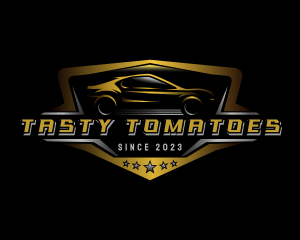 Automotive Car Detailing logo design