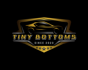 Automotive Car Detailing logo design