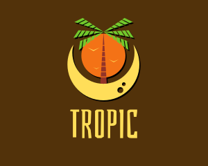 Palm Tree Beach Moon  logo design