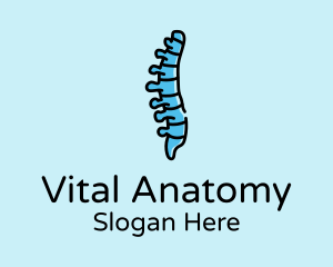 Anatomy - Spinal Cord Anatomy logo design