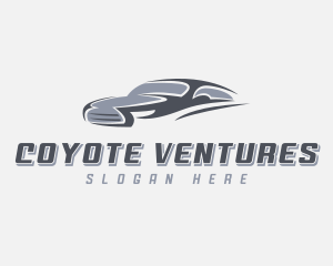 Automobile Sedan Detailing logo design