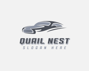 Automobile Sedan Detailing logo design