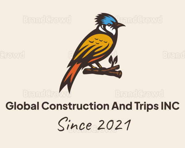 Colorful Kingfisher Bird Logo