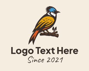 Bird Sanctuary - Colorful Kingfisher Bird logo design