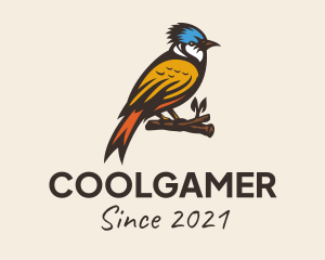 Wildlife Center - Colorful Kingfisher Bird logo design