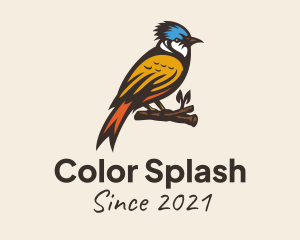 Colorful Kingfisher Bird logo design