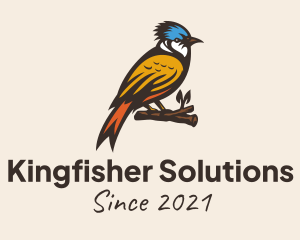 Kingfisher - Colorful Kingfisher Bird logo design