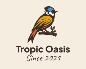 Tropic - Colorful Kingfisher Bird logo design