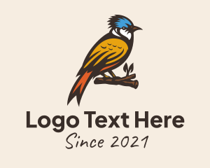 Tropic - Colorful Kingfisher Bird logo design