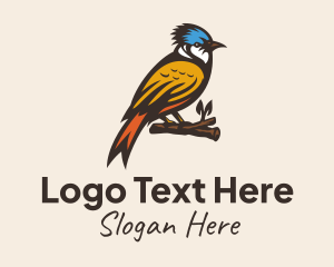 Colorful Kingfisher Bird Logo