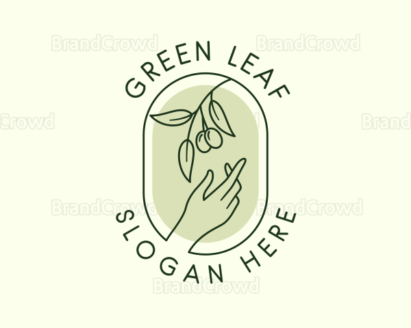 Olive Branch Gardening Hand Logo