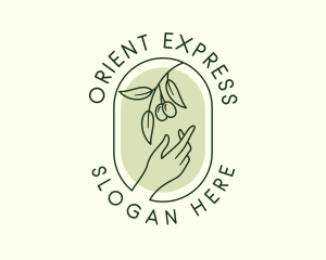 Olive Branch Gardening Hand logo design