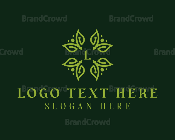 Eco Herbal Leaves Logo