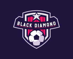 Soccer Sports Shield Logo