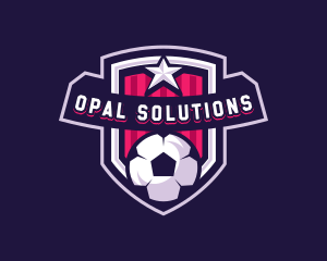 Soccer Sports Shield Logo