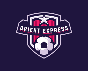 Soccer Sports Shield Logo