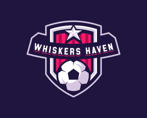 Soccer Sports Shield Logo