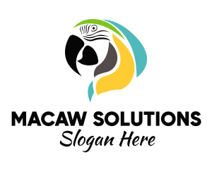 Macaw - Colorful Macaw Parrot logo design