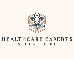 Healthcare Caduceus Clinic logo design