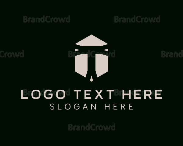Professional Hexagon Business Letter T Logo