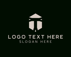 Professional Hexagon Business Letter T logo design