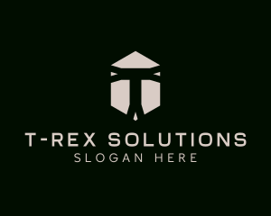 Professional Hexagon Business Letter T logo design