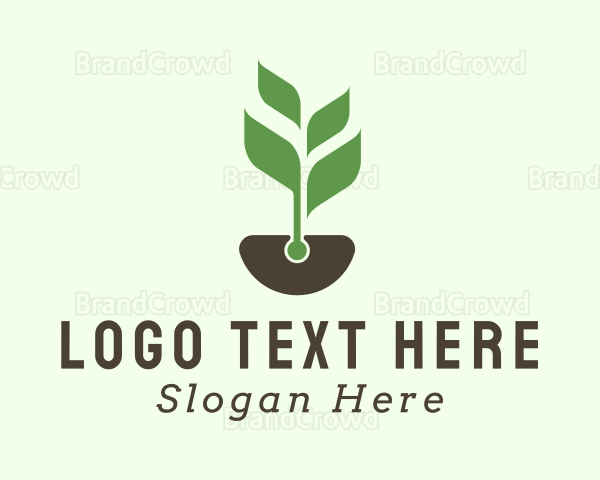 Soil Leaf Sprout Logo