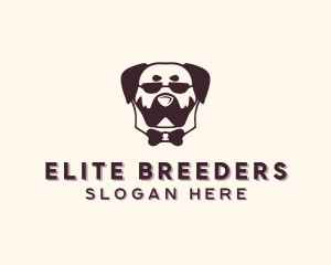 Sunglasses Dog Accessory logo design