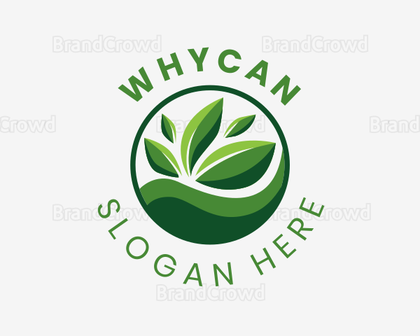 Fresh Organic Leaf Logo