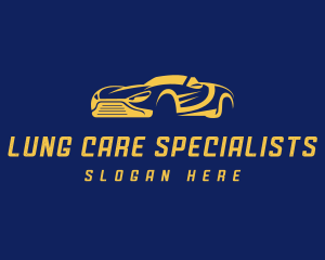 Car Care  Auto Detailing logo design