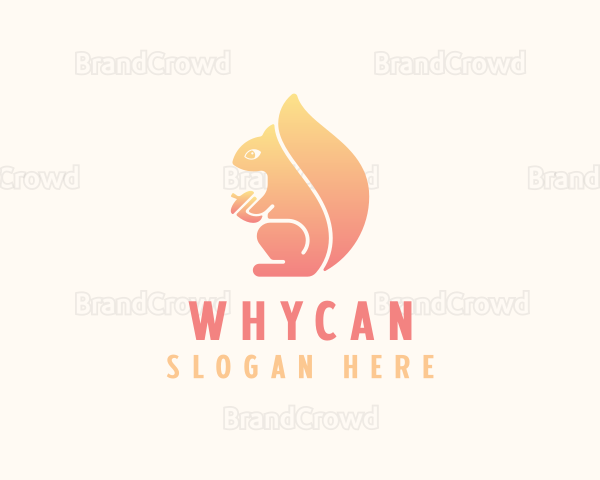 Squirrel Acorn Brand Logo