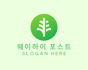 Round Eco Tree logo design