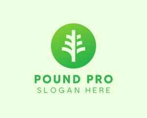 Round Eco Tree logo design