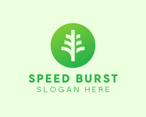 Round Eco Tree logo design