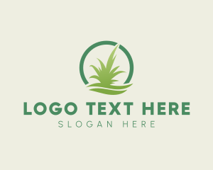 Grass - Circle Lawn Grass logo design