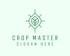 Simple Organic Leaf logo design