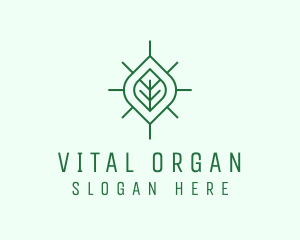 Simple Organic Leaf logo design