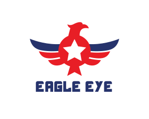 American Eagle Wing logo design