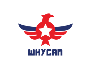 Country - American Eagle Wing logo design