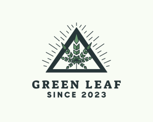 Weed Leaf Herbal logo design