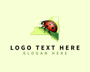 Map - Ladybug New York Insect logo design