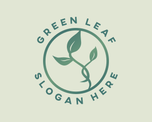 Natural Herbal Leaf logo design