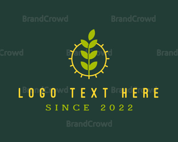 Eco Friendly Sun Plant Logo