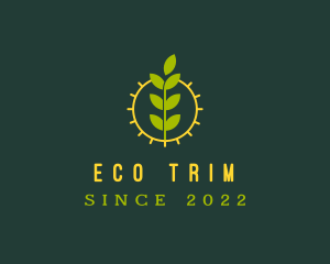 Eco Friendly Sun Plant logo design