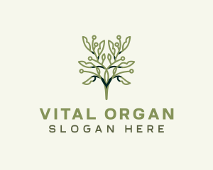 Natural Organic Leaves logo design