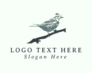 Safari Park - Swallow Bird Avian logo design