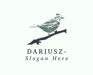 Safari Park - Swallow Bird Avian logo design