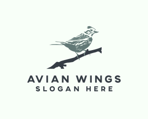 Swallow Bird Avian logo design